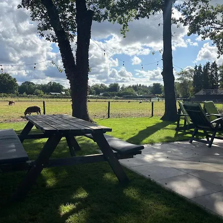 Alpstuga Tiny Forest House Met Vrij Uitzicht