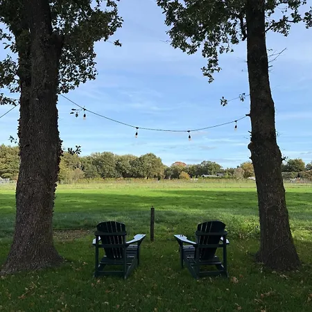 Tiny Forest House Met Vrij Uitzicht