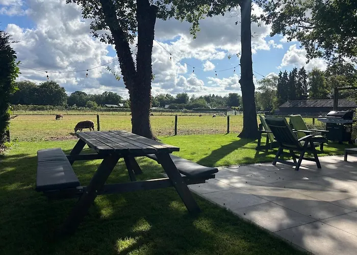 Chalet Tiny Forest House Met Vrij Uitzicht