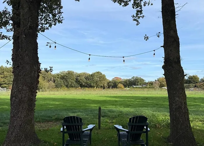 Tiny Forest House Met Vrij Uitzicht